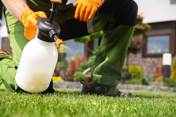 Best Pest Prevention Services  in Lake Forest, CA