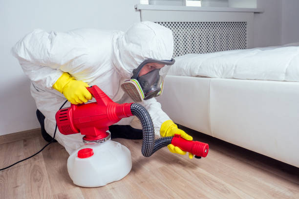 Best Wasp Removal Services  in Lake Forest, CA