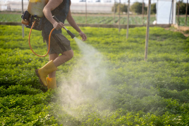 Best Best Pest Control Companies  in Lake Forest, CA