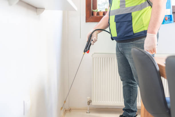 Best Residential Pest Control  in Lake Forest, CA