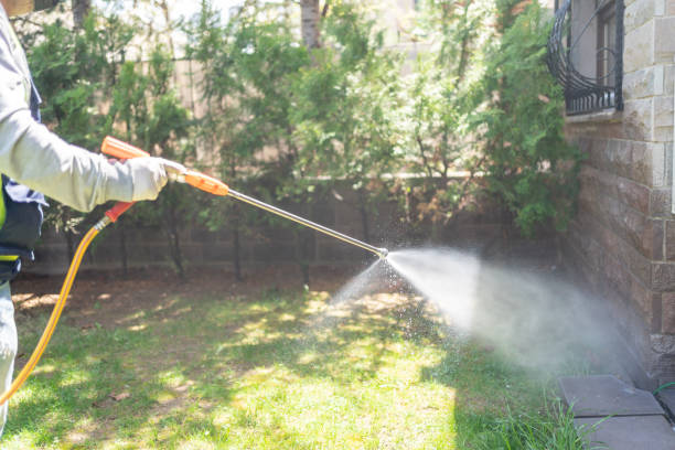 Bird Control in Lake Forest, CA